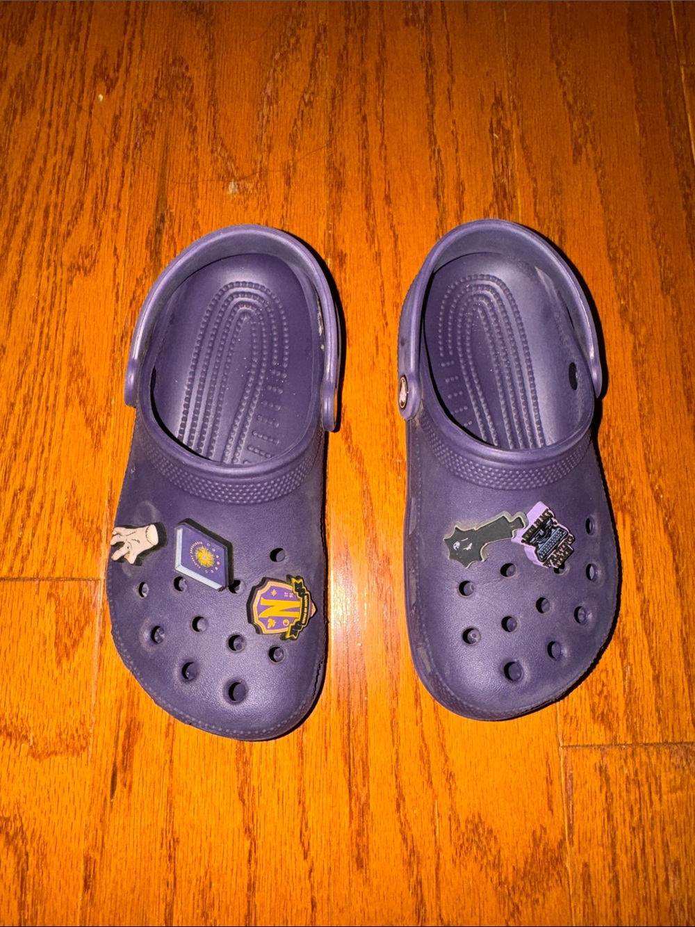 Kids Dark Purple Clog Sandals with Wednesday Adams Decorative Charms